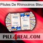 Pilules De Rhinocéros Bleu kamagra1